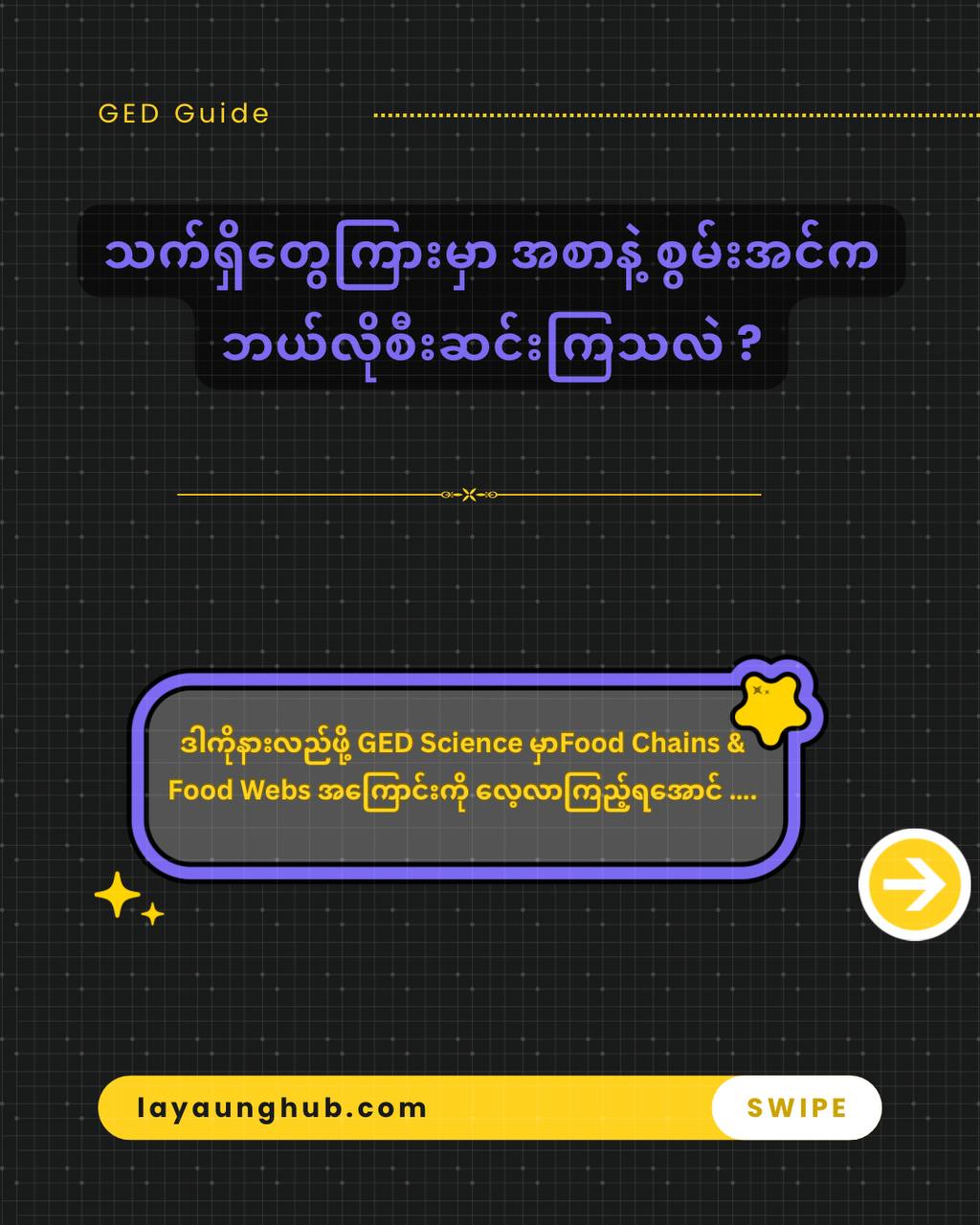 GED Science မှာ Food Chains & Food Webs ဆိုတာ ဘာလဲ 📚 ?